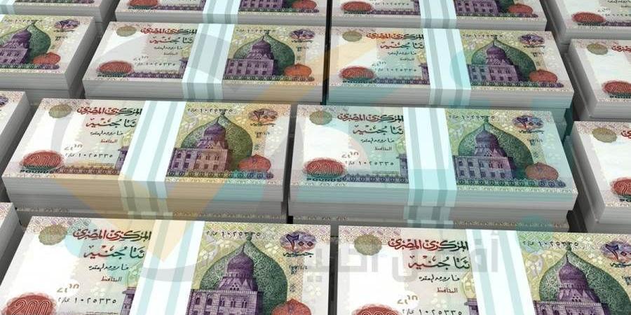 البنك
      المركزي:
      16%
      نموا
      في
      شهادات
  ...