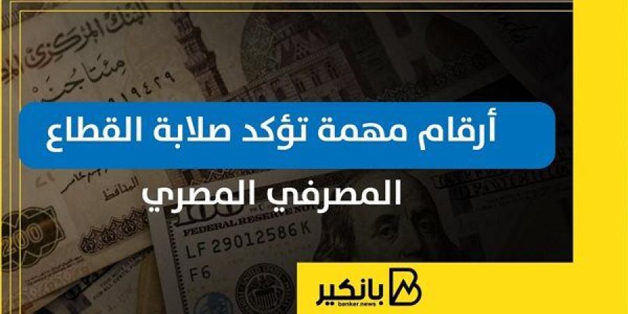 أرقام
      مهمة
      تؤكد
      صلابة
      القطاع
      ...