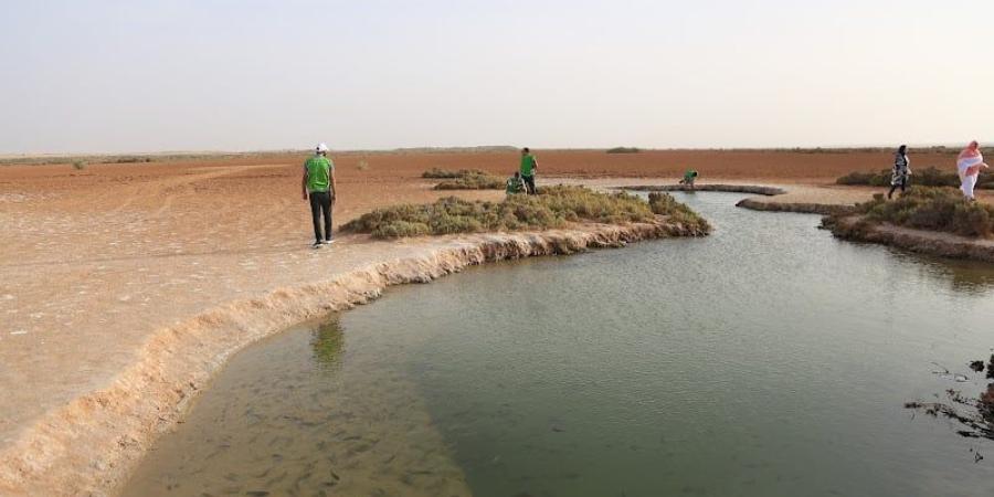 المغرب
      يسجل
      أدنى
      مستويات
      المياه
      السطحية
      في
      إفريقيا
      خلال
      عام
      2024