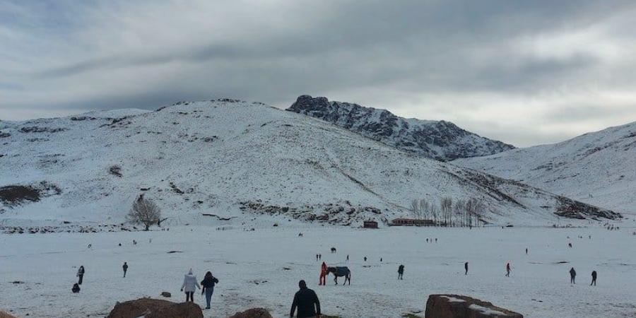 موجة
      برد
      وتساقطات
      ثلجية
      بالمغرب