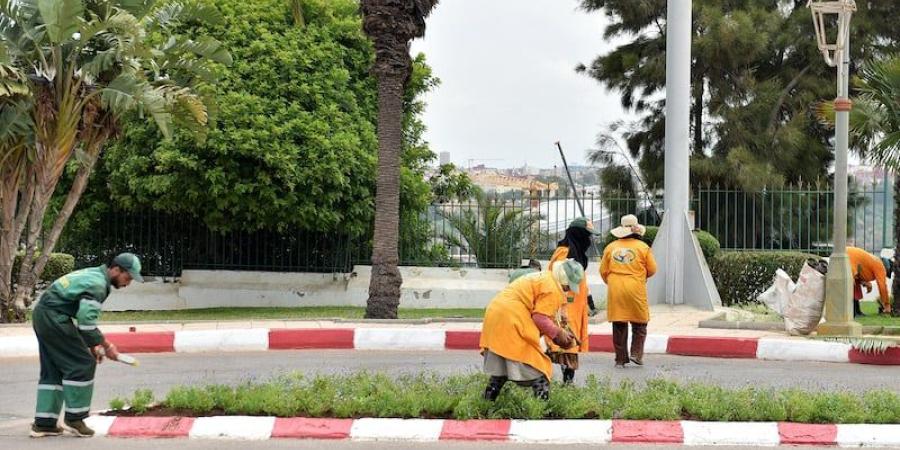 لوائح
      "عمال
      الإنعاش"
      تخضع
      للافتحاص
      في
      مجموعة
      من
      الجماعات