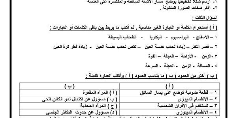 مراجعات
      نهائية..
      نموذج
      الوزارة
      في
      امتحان
      العلوم
      لـ
      الصف
      الثالث
      الإعدادي