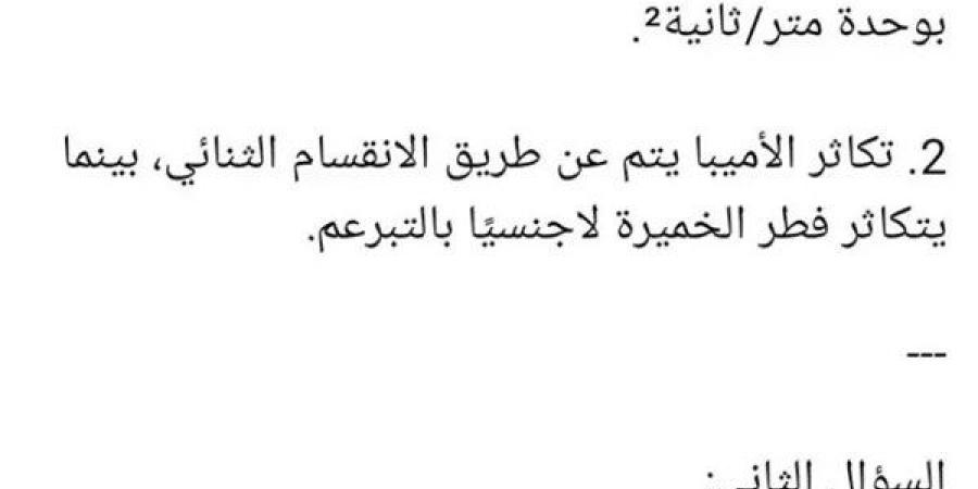 مراجعات
      نهائية..
      حل
      امتحان
      العلوم
      محافظة
      الاسكندرية
      لـ
      الصف
      الثالث
      الإعدادي
      2025