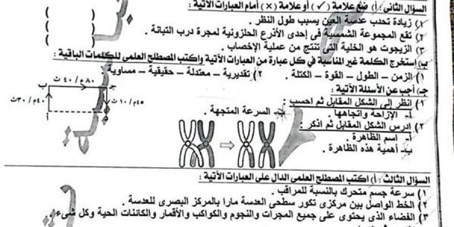 مراجعات
      نهائية..
      امتحان
      العلوم
      في
      3
      محافظات
      لـ
      الصف
      الثالث
      الإعدادي
      2025