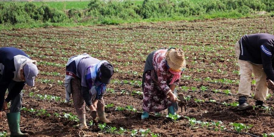 خبراء:
      الفلاحة
      ترتهن
      بـ"رحمة
      السماء"..
      والجفاف
      يتربص
      بالزراعات
      البورية