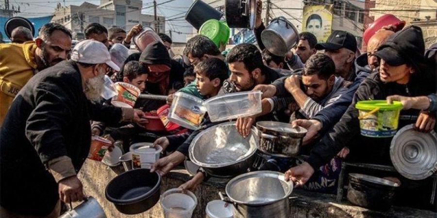 الفاو:
      وقف
      إطلاق
      النار
      يمثل
      فرصة
      حاسمة
      لمعالجة
      أزمة
      الغذاء
      في
      قطاع
      غزة