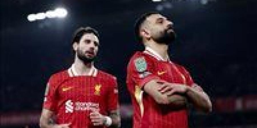 عاجل:
      ليفربول
      يواجه
      باريس
      سان
      جيرمان
      في
      ثمن
      نهائي
      دوري
      أبطال
      أوروبا
      ومواعيد
      المباريات
      والقناة
      الناقلة