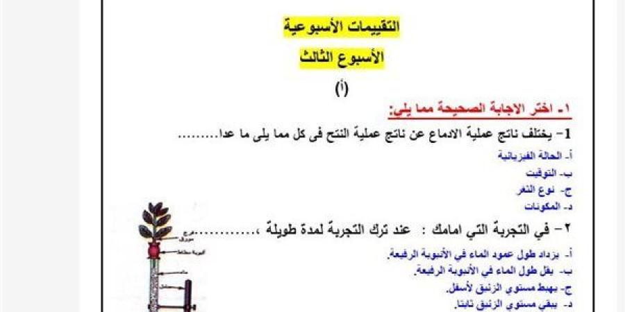 مراجعات
      نهائية..
      أسئلة
      تقييمات
      الأسبوع
      الثالث
      أحياء
      الصف
      الثاني
      الثانوي
      ترم
      ثاني