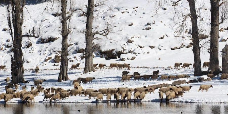 تساقطات
      ثلجية
      متوقعة
      بالمغرب