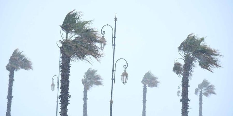 تأثيرات
      منخفض
      "جانا"
      على
      المغرب