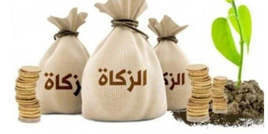 زكاة
      الفطر
      لعام
      2025:
      كيفية
      احتسابها
      وآخر
      موعد
      لإخراجها