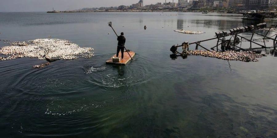 صيادون
      يركبون
      أبواب
      الثلاجات
      للاشتغال
      قبالة
      ساحل
      غزة