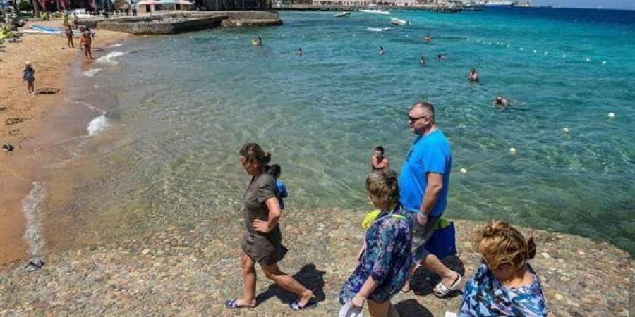طفرة
      سياحية
      في
      البحر
      الأحمر..
      ...
