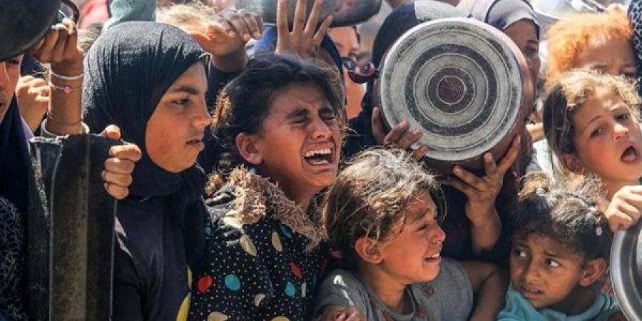 الصحة
      العالمية:
      الأطفال
      والنساء
      في
  ...