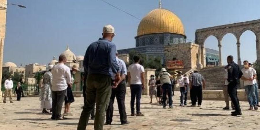 مستعمرون
      يقتحمون
      المسجد
      الأقصى
      المبارك
      بحماية
      شرطة
      الاحتلال
      الإسرائيلي