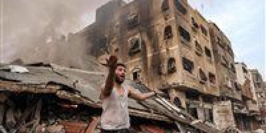 استاذ
      علوم
      سياسية:
      القضية
      الفلسطينية
      تم
      اختطافها
      لمصالح
      بعض
      الدول
