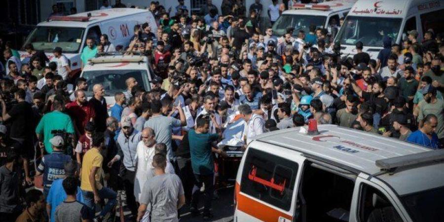 100
      شهيد
      خلال
      24
      ساعة:
      الاحتلال
      يواصل
      جرائم
      الإبادة
      الجماعية
      في
      قطاع
      غزة