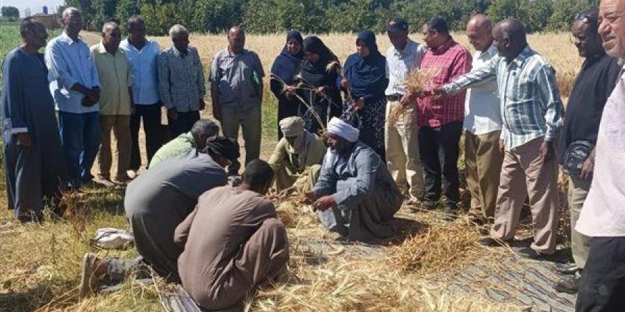تسوية
      500
      فدان
      بالليزر
      لصغار
      ...