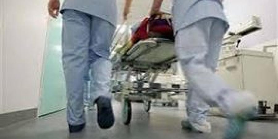 سوهاج..
      إصابة
      مزارع
      بسبب
      خلافات
      الجيرة
      بجهينة