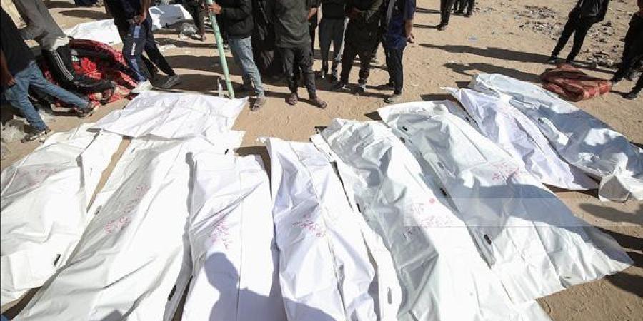 استشهاد
      9
      فلسطينيين
      بقصف
      إسرائيلي
      على
      مدينة
      غزة
      وجباليا