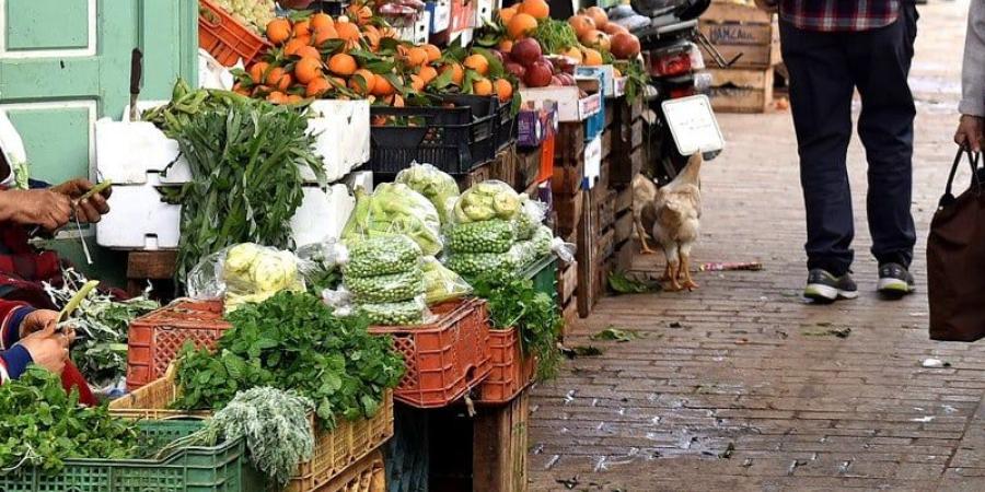 سوق
      "دوار
      القرعة"
      يفضح
      تحديات
      أمام
      الاقتصاد
      غير
      المهيكل
      في
      الرباط