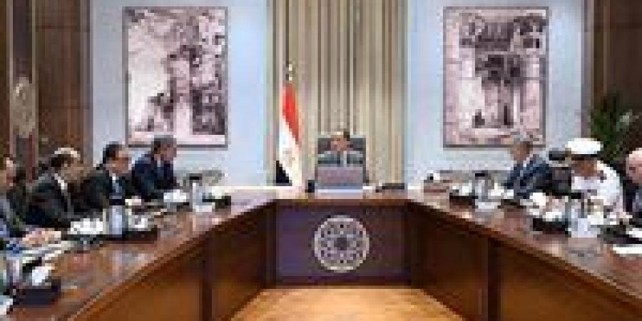 مدبولي
      يوجه
      بدراسة
      كيفية
      الاستفادة
      من
      آثار
      الإسكندرية
      الغارقة
      بأبي
      قير