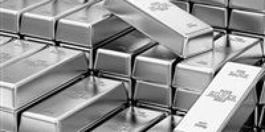 الطلب
      الصناعي
      على
      الفضة
      يرفع
      الأسعار
      إلى
      أعلى
      مستوياتها
      في
      13
      عامًا