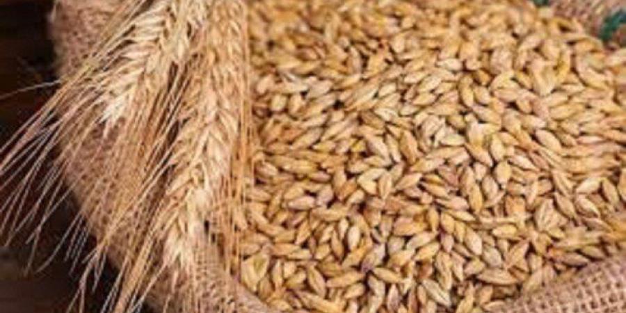 سعر
      الأرز
      الشعير
      اليوم
      الإثنين
      9
      يونيو
      2025