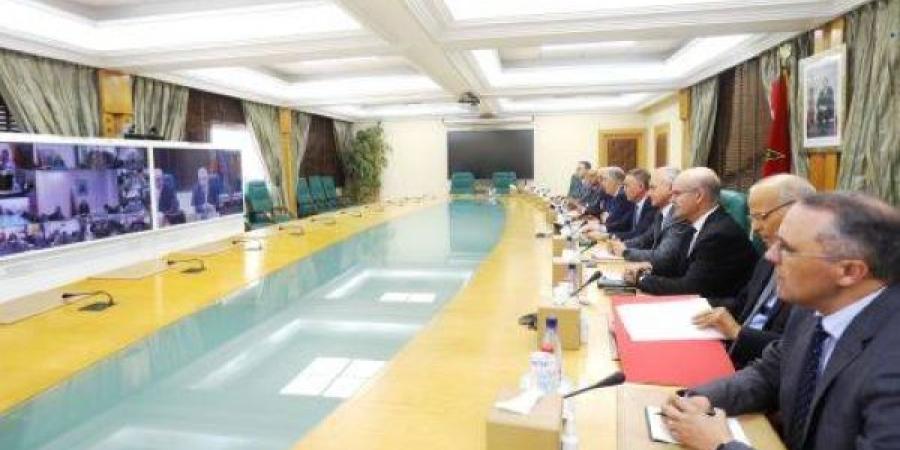 لقاء رفيع  يحدد مهام الأطراف المعنية بعملية إعادة تكوين قطيع الماشية