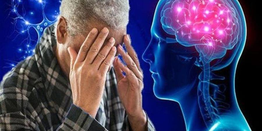 دراسة
      تكشف:
      نظام
      غذائي
      نباتي
      يحمي
      الدماغ
      ويقلل
      خطر
      الزهايمر